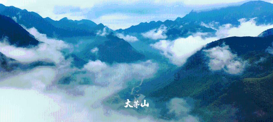 失忆症：黑暗后裔